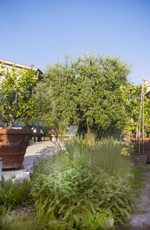 Dolce Sosta Hotel Lucca Exterior foto